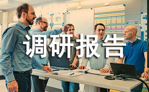 调研报告心得体会