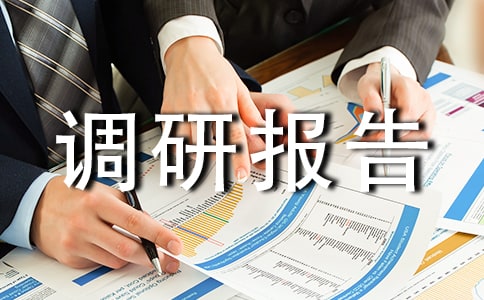 实践调研报告范文