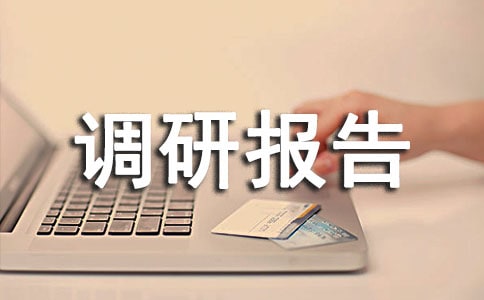 社会实践调研报告摘要范文