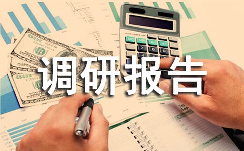 导游员管理调研报告