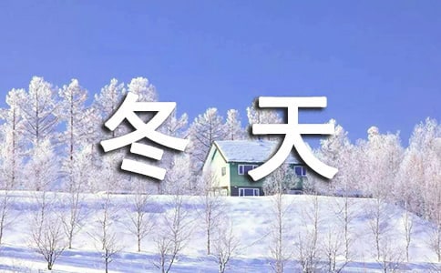 冬天的橡树阅读答案
