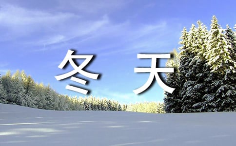 大班冬天语言活动教案