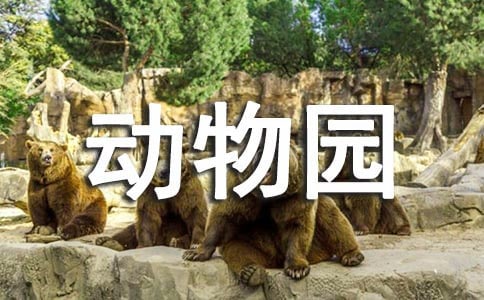 新加坡夜间野生野生动物园游玩攻略
