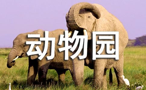 上海野生动物园旅游攻略
