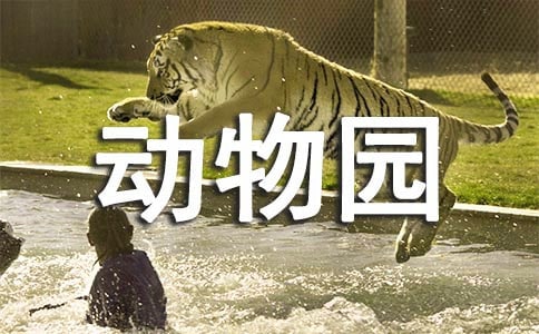 大连森林动物园游玩攻略