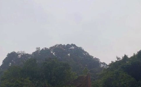��üɽ�¸�̰�