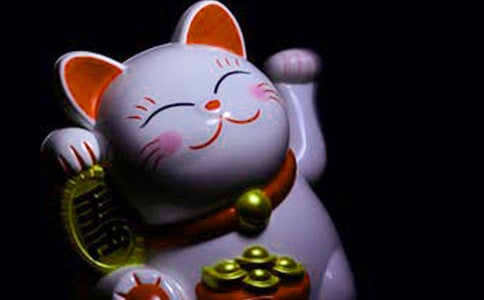 发财树叶子发黄的解决办法