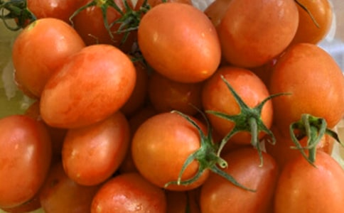 �и����Գ�С������