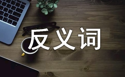 大班语言教案反义词15篇