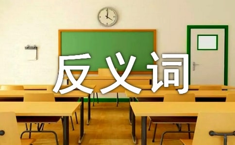反义词教案