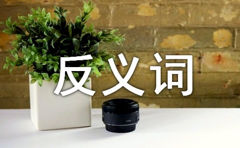 反义词教案(通用20篇)