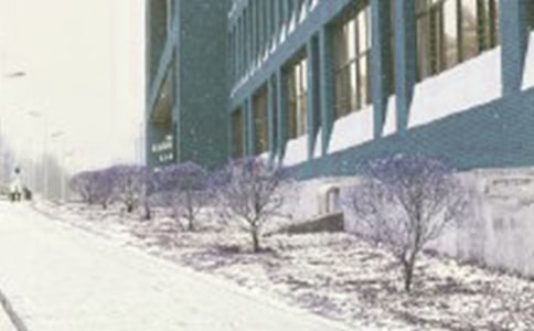 林教头风雪山神庙节选阅读答案