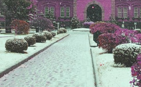 暴风雪天气应急预案