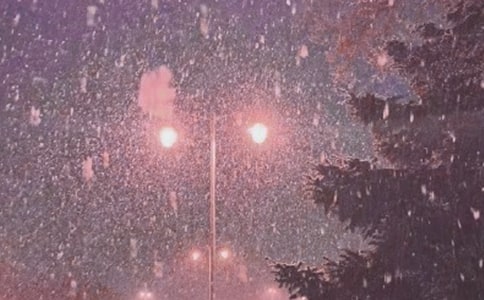《风雪夜归》阅读答案