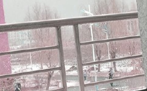 暴风雪天气应急预案