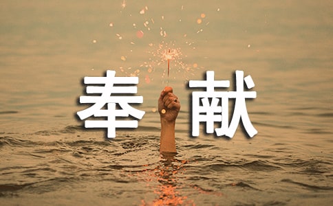奉献心得体会15篇【热门】
