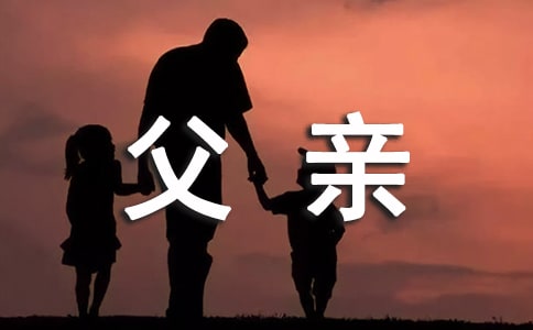 《影子父亲》阅读答案