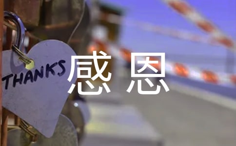 表达感恩的句子