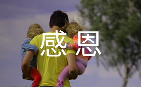 关于感恩的活动总结范文