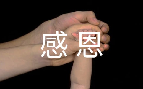 感恩母亲的活动总结