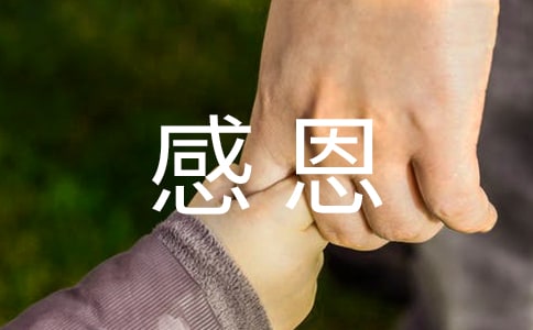 感恩诚信活动总结