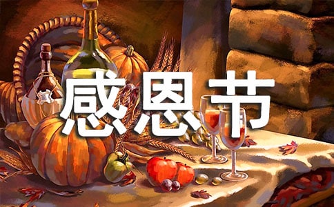 感恩节主题活动总结