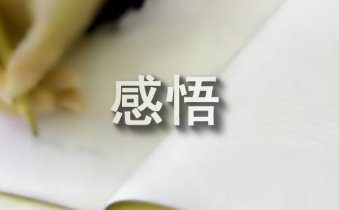 初中生活感悟优秀