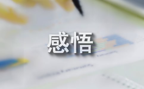 个人摄影感悟摄影技巧
