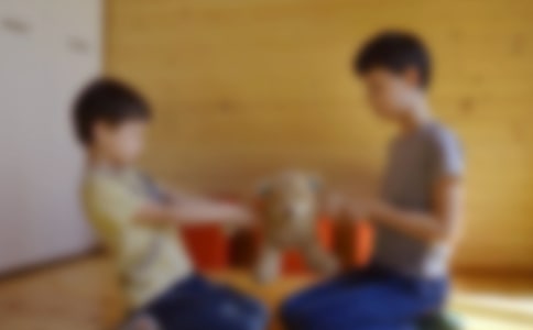 大班社会《我是哥哥姐姐》教案(精选18篇)