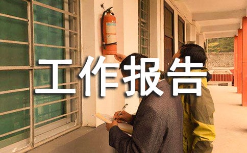 工程工作报告