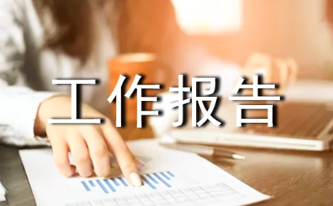 服务工作报告