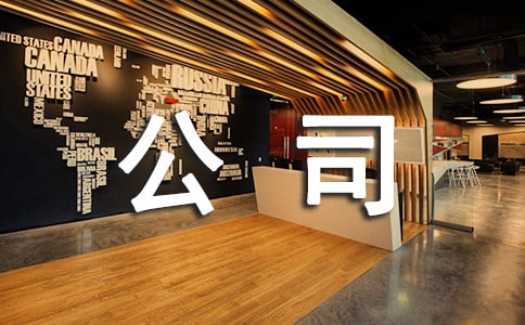 公司的年终总结范文(精选12篇)