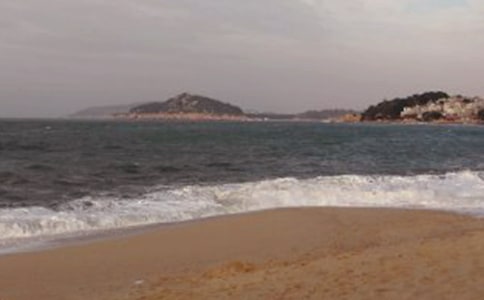 ���Ź����쵼�δ�[����15ƪ]