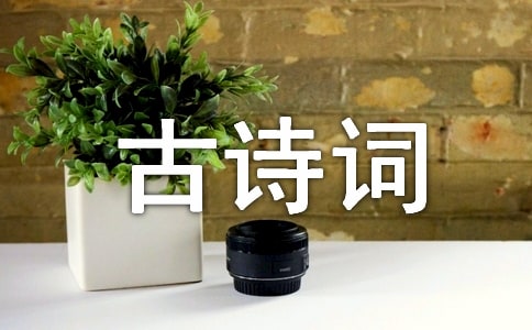 古诗词少儿唐诗三百首回乡偶书