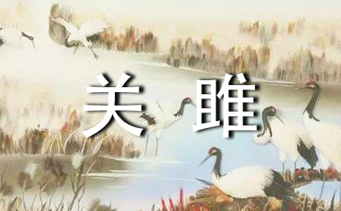 关雎语文教案