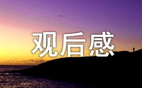 《红海行动》观后感