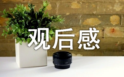 《只此青绿》观后感