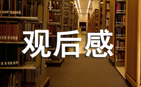 《上学路上》观后感