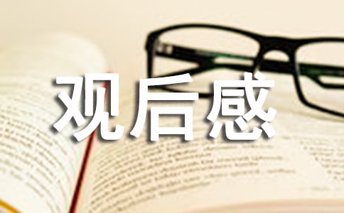 《小马王》观后感5篇