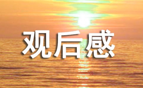 万箭穿心观后感