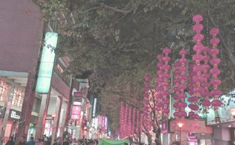【精选】《时代广场的蟋蟀》读后感