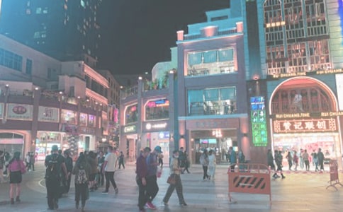 读《时代广场的蟋蟀》有感(15篇)