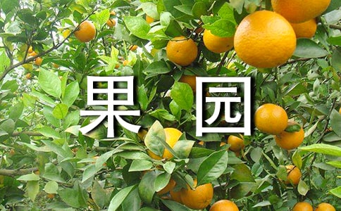 ��԰��Ӫ�����а���ͬ����ѡ2ƪ��