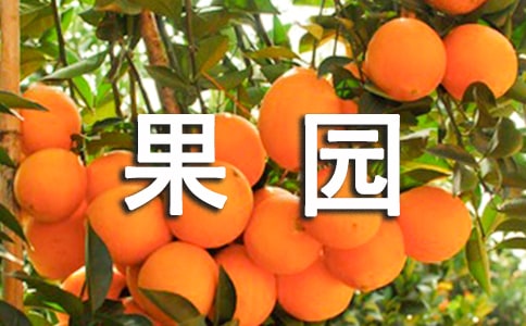 果园机器人教案