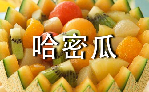 挑选哈密瓜的技巧