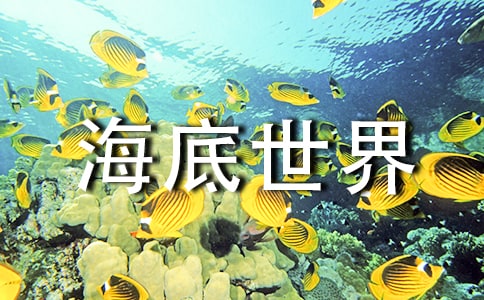 海底世界的教案