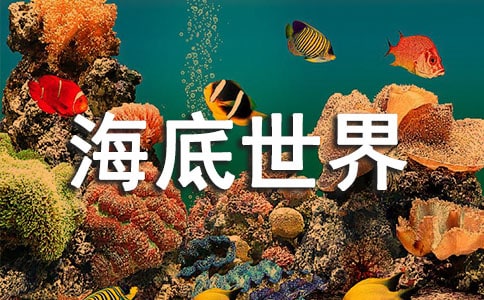 海底世界听课心得