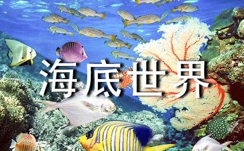 有关海底世界教案合集十篇
