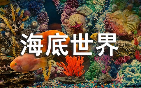 厦门鼓浪屿海底世界好玩吗