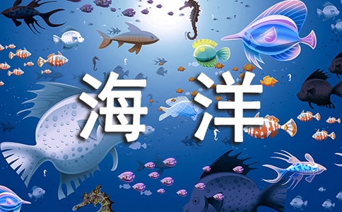 海洋球废物利用手工